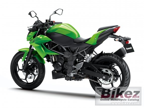 2015 Kawasaki Z250SL