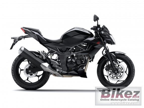 2015 Kawasaki Z 250SL ABS