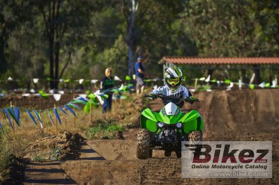2015 Kawasaki KFX50