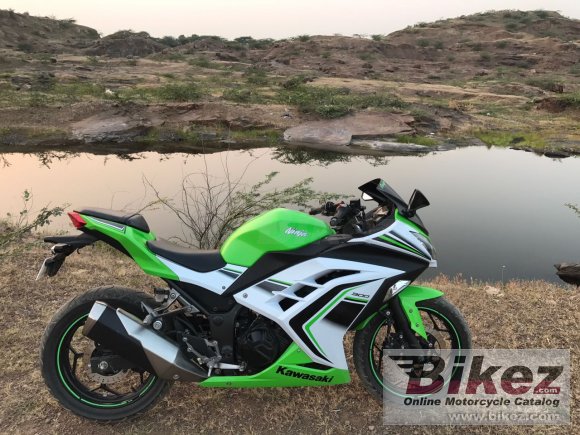 2015 Kawasaki Ninja 300 30th Anniversary Edition