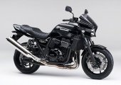 2015 Kawasaki ZRX1200 DAEG Black Limited