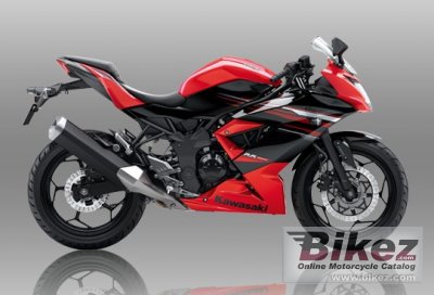 Kawasaki Ninja RR Mono ABS