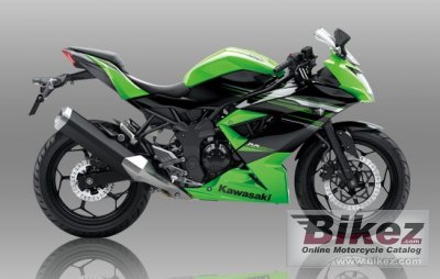 Kawasaki Ninja RR Mono