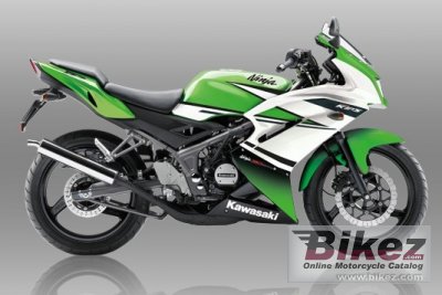 Kawasaki Ninja RR Special Edition