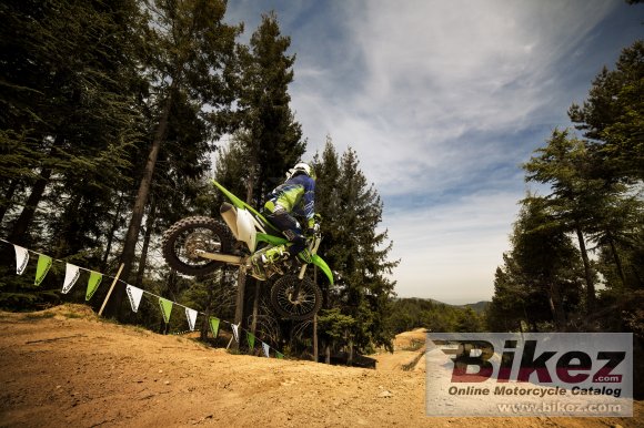 2016 Kawasaki KX 450F