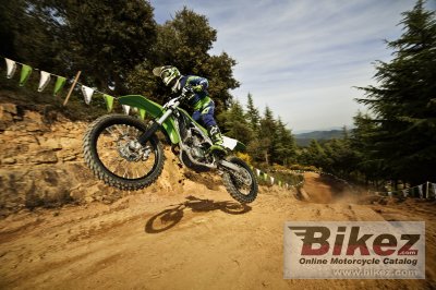 2016 Kawasaki KX 450F