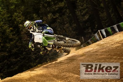 2016 Kawasaki KX 450F