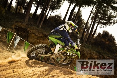2016 Kawasaki KX 450F