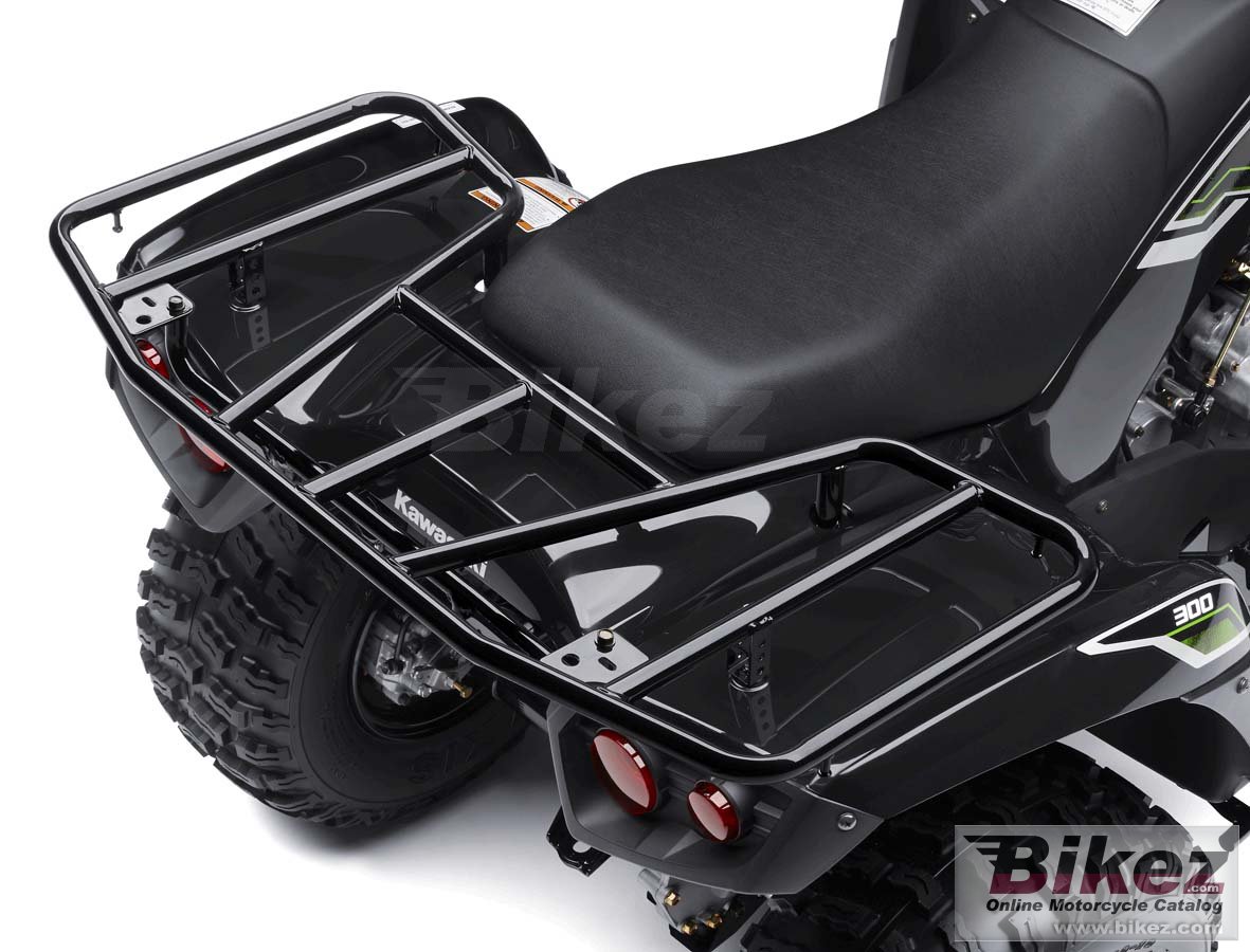 Kawasaki Brute Force 300