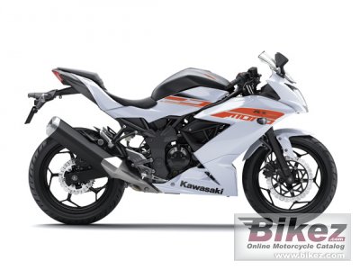 2016 Kawasaki Ninja RR Mono
