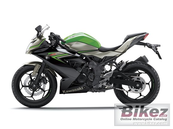 2016 Kawasaki Ninja RR Mono