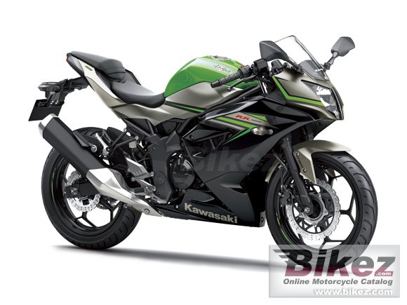 2016 Kawasaki Ninja RR Mono