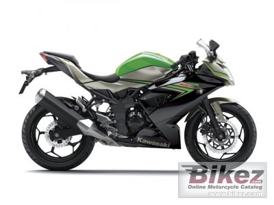 2016 Kawasaki Ninja RR Mono