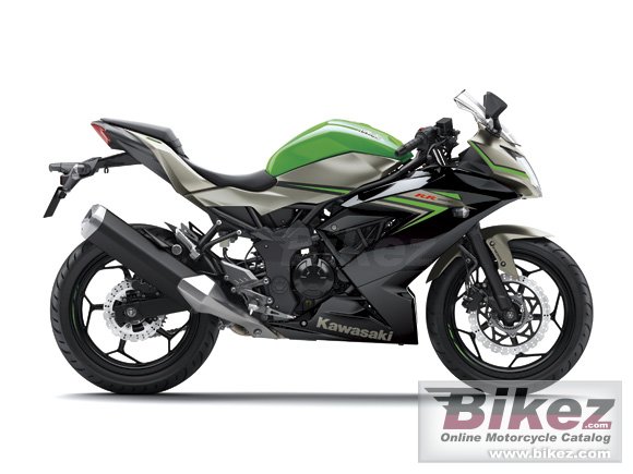 2016 Kawasaki Ninja RR Mono