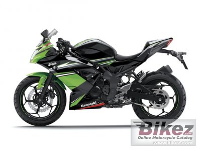 2016 Kawasaki Ninja RR Mono