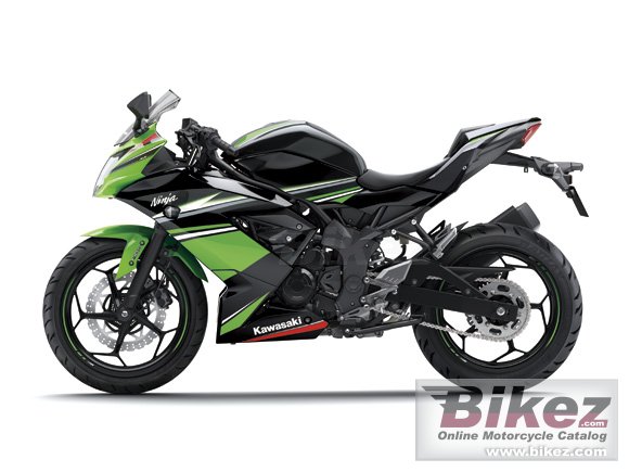 2016 Kawasaki Ninja RR Mono