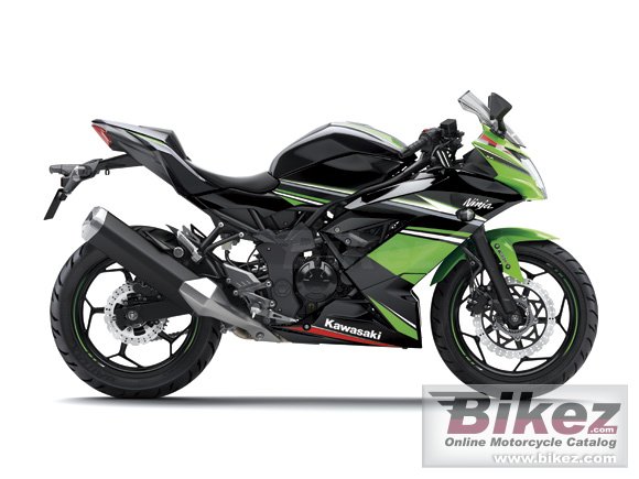 2016 Kawasaki Ninja RR Mono