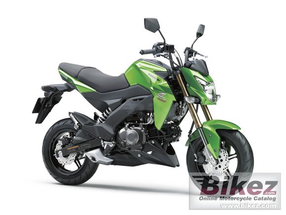 2016 Kawasaki Z125 Pro