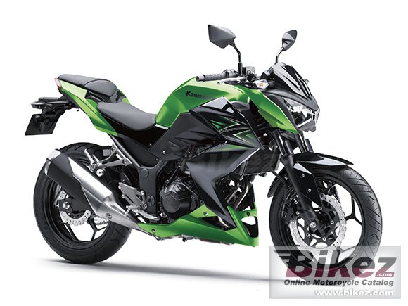 2016 Kawasaki Z250