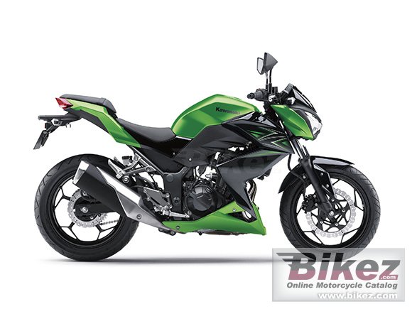 2016 Kawasaki Z250