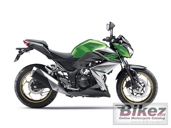 2016 Kawasaki Z250 Special Edition