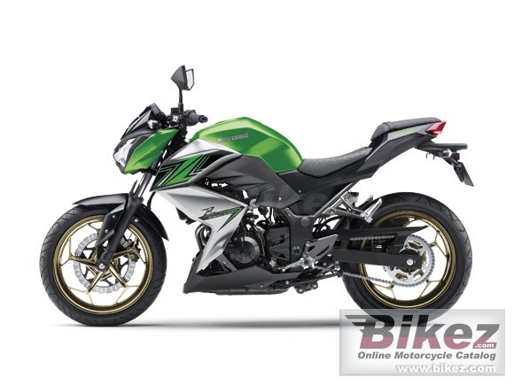 2016 Kawasaki Z300 Special Edition