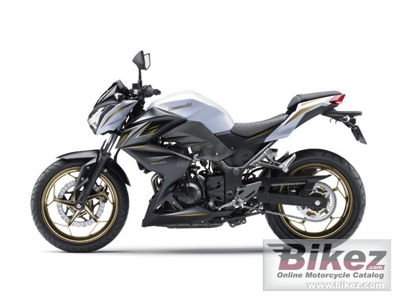 2016 Kawasaki Z300 Special Edition