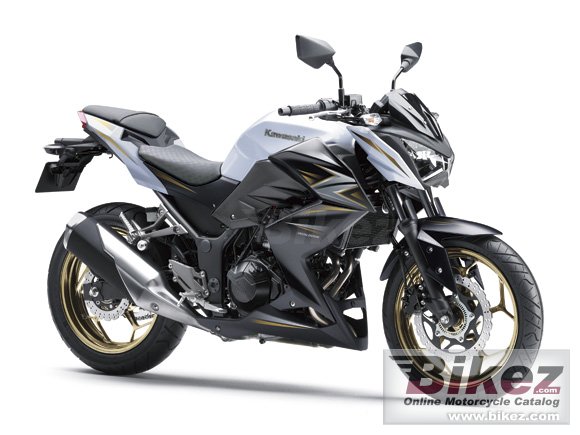 2016 Kawasaki Z300 Special Edition