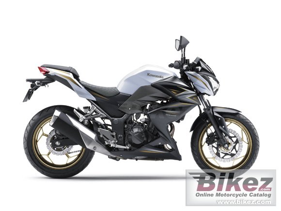 2016 Kawasaki Z300 Special Edition