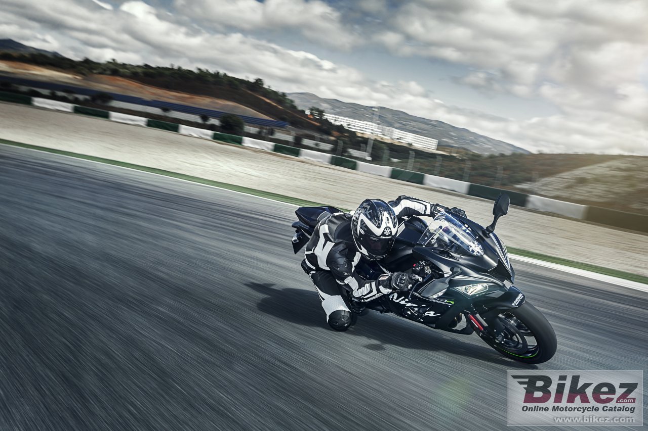 Kawasaki ZX-10R Winter Test Edition