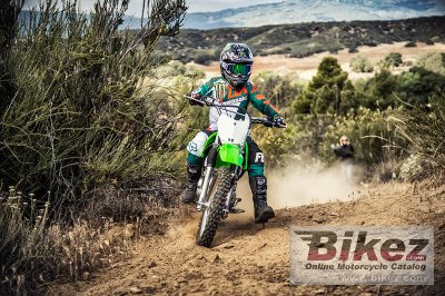 2017 Kawasaki KLX 140