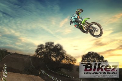 2017 Kawasaki KX 250F