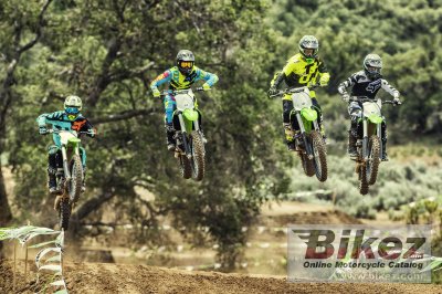 2017 Kawasaki KX 450F