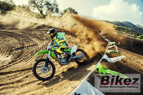 2017 Kawasaki KX 450F