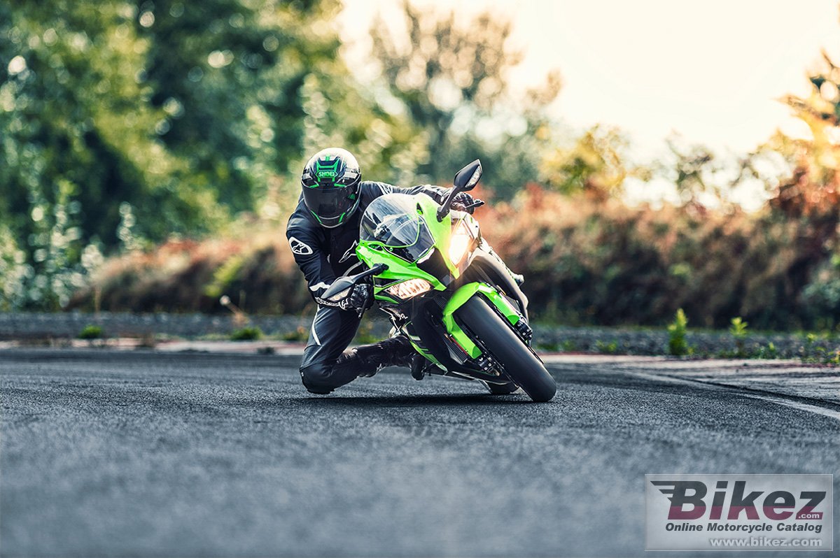 Kawasaki Ninja ZX-10R KRT Edition