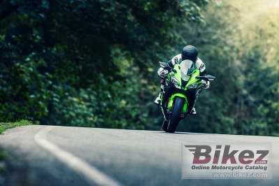2017 Kawasaki Ninja ZX-10R KRT Edition