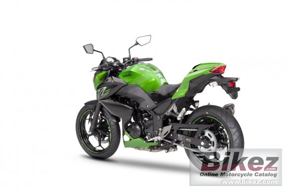 2017 Kawasaki Z300 Performance