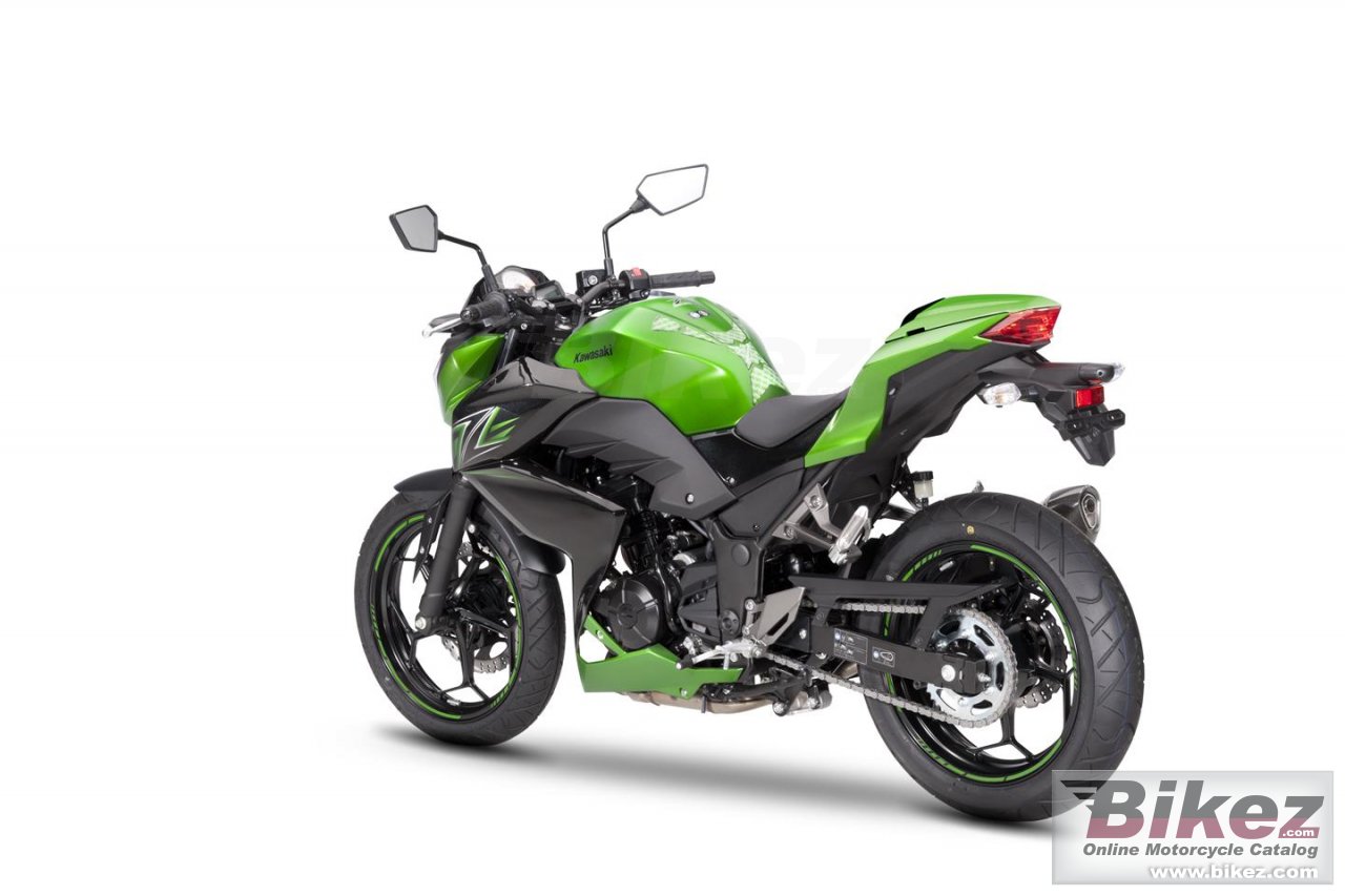 Kawasaki Z300 Performance