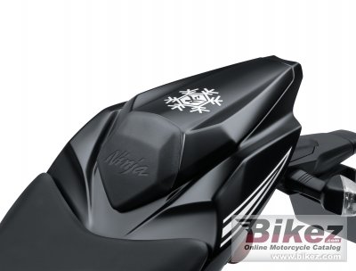 2017 Kawasaki Ninja ZX-10RR