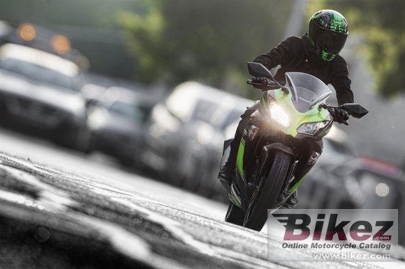 2017 Kawasaki Ninja 300 KRT Edition