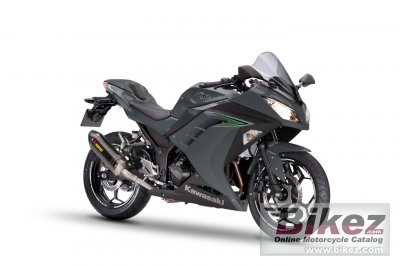 2017 Kawasaki Ninja 300 Performance