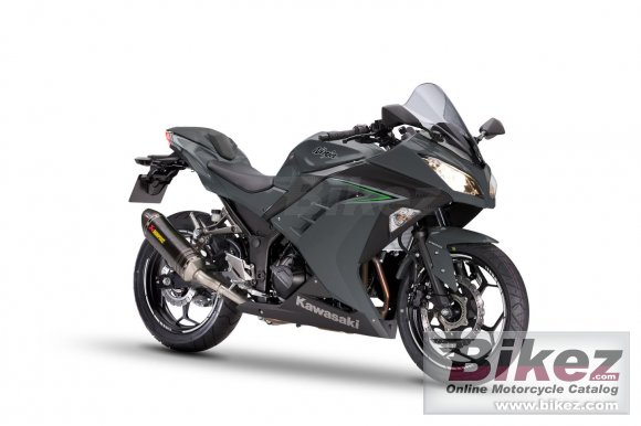 2017 Kawasaki Ninja 300 Performance