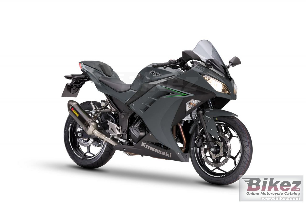 Kawasaki Ninja 300 Performance