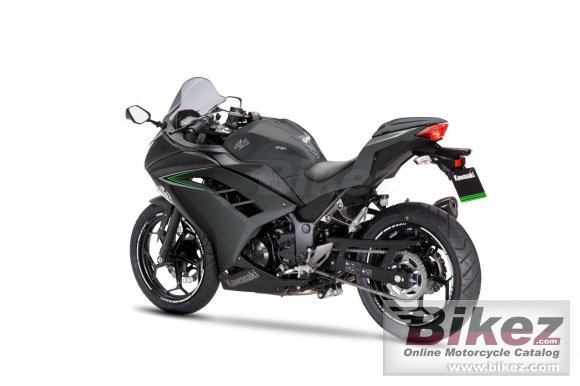 2017 Kawasaki Ninja 300 Performance