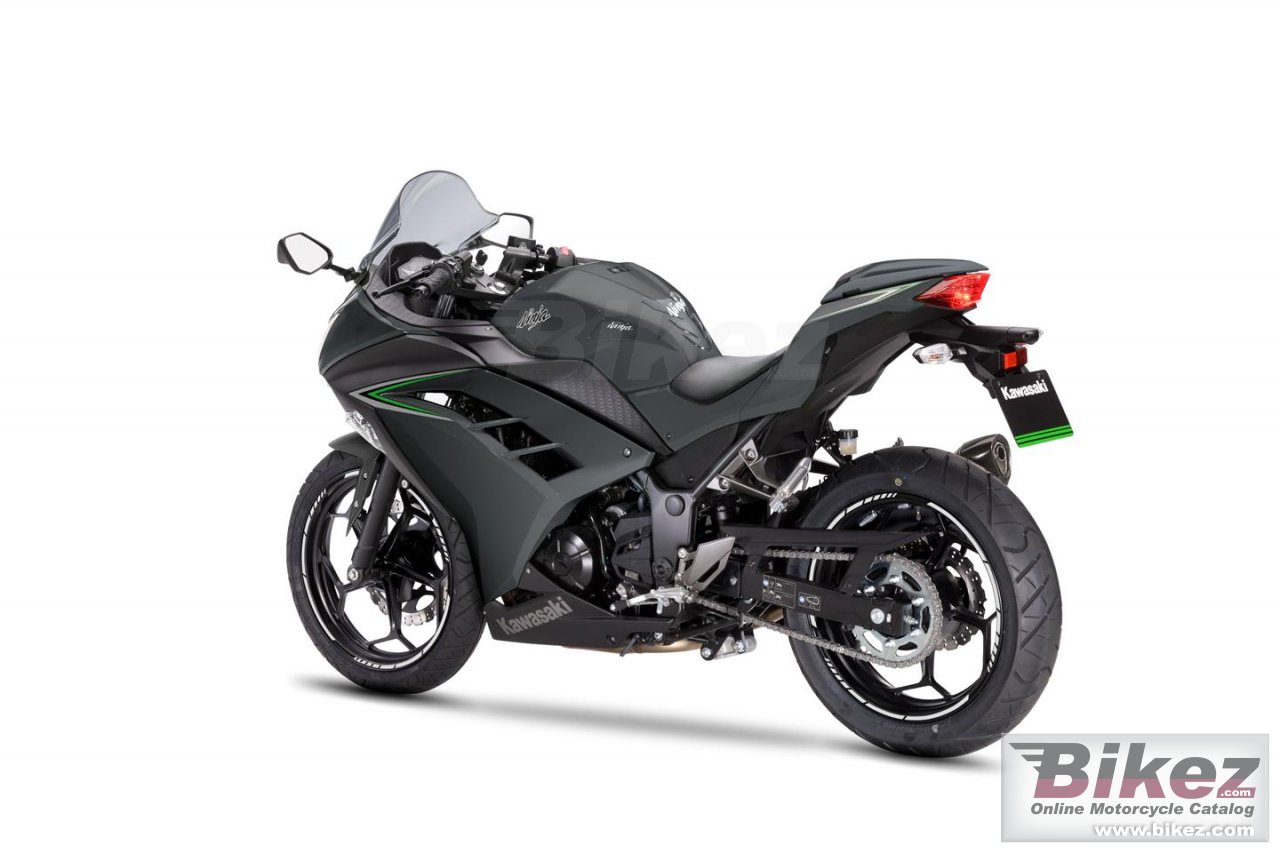 Kawasaki Ninja 300 Performance