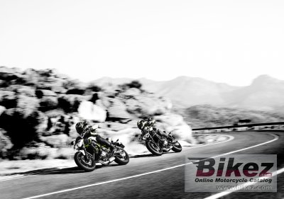 2017 Kawasaki Z650