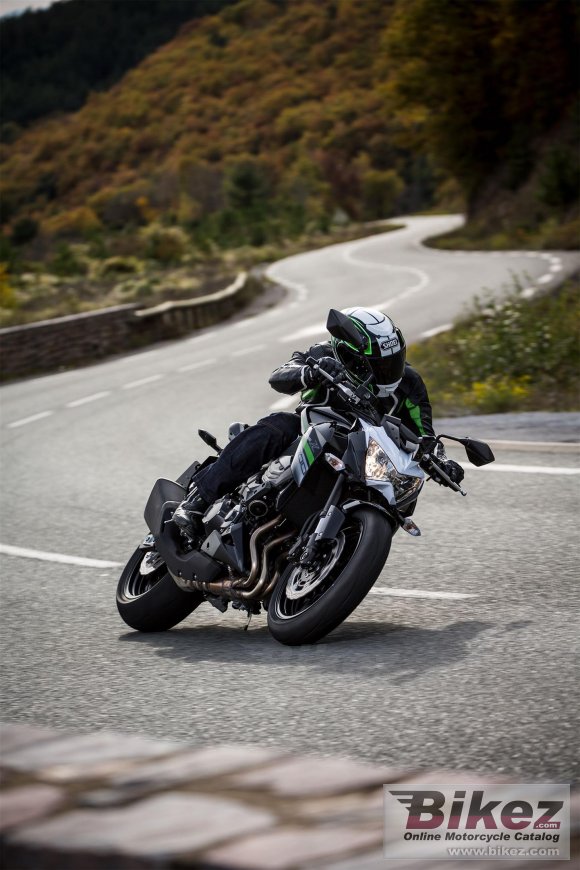 2017 Kawasaki Z800 e version