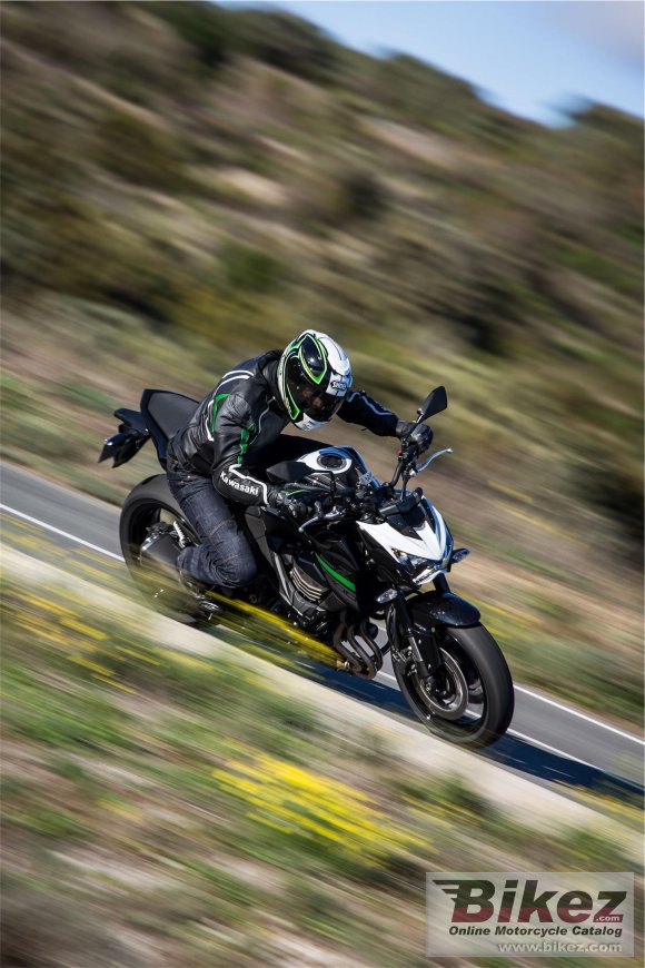 2017 Kawasaki Z800 e version