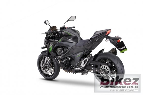 2017 Kawasaki Z800 e version Performance