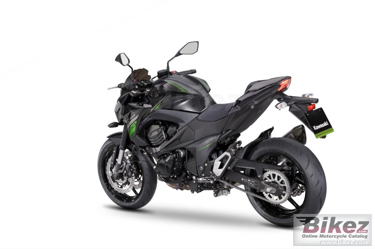 Kawasaki Z800 e version Performance